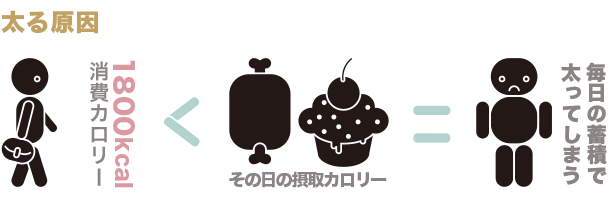太る原因-図説