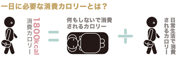 一日に必要なカロリー-図説