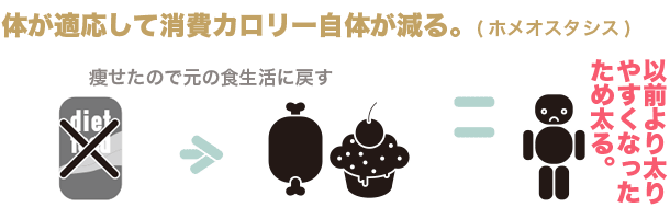 置き換えダイエットの仕組み-図説