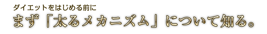 ダイエットを始める前に