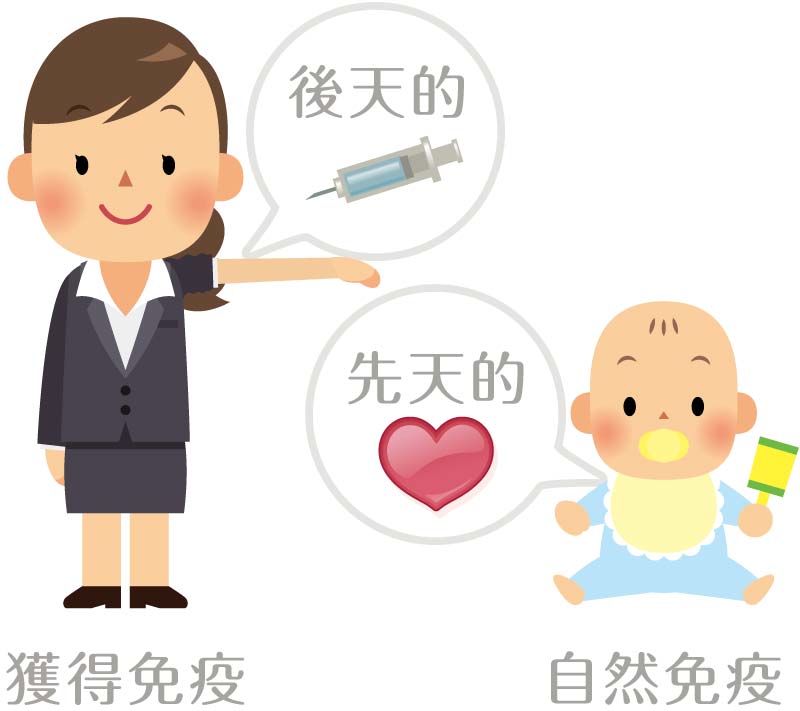 免疫力を上げる